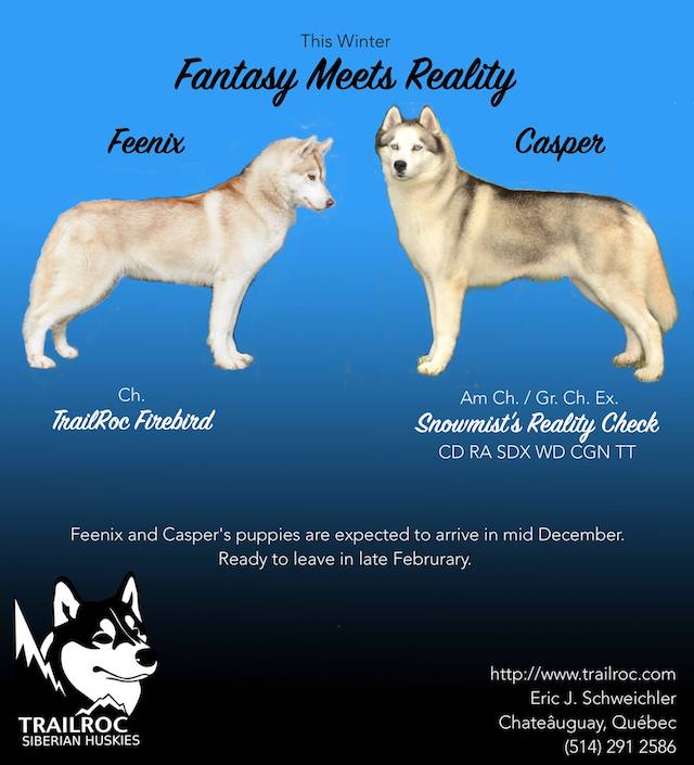 Feenix X Casper