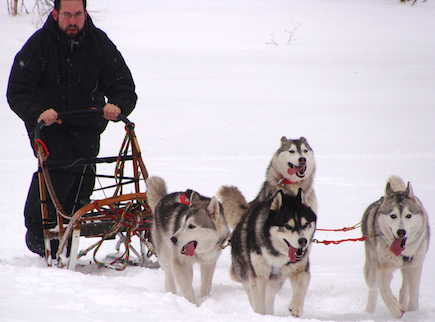 Eric sledding with Cinder, Denali, Jack and Ashe.